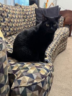 Photo of Leeloobelle And Lunabelle