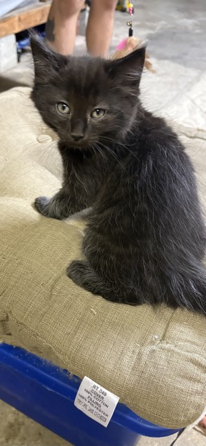 Photo of Big Boy