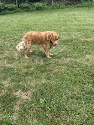 Photo of Charlie