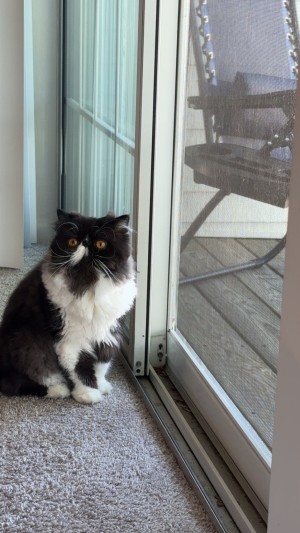 Photo of Loly