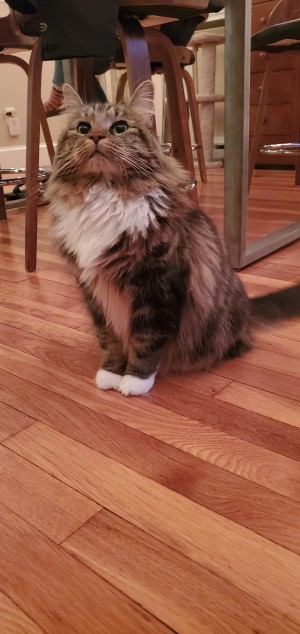 Photo of Thelma