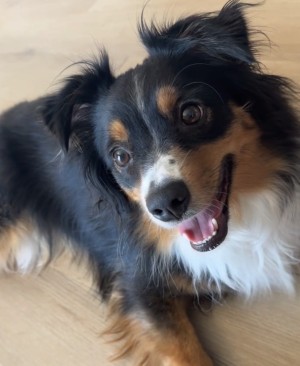 Photo of Josie