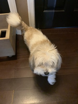 Photo of Chloe