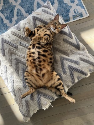Photo of George