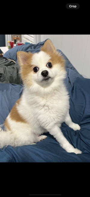 Photo of Lu
