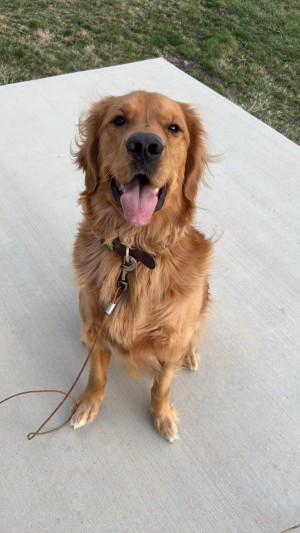 Photo of Maverick