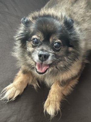 Photo of Tesla