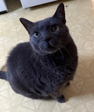 Photo of Ash