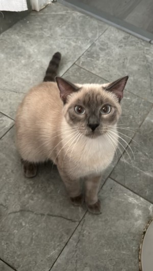 Photo of Ashe