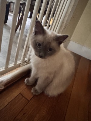 Photo of Leo