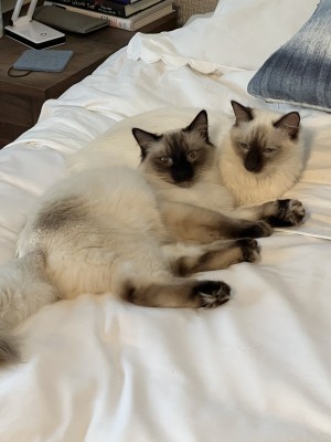Photo of Yuki And Bins