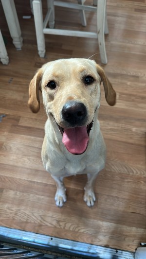 Photo of Luna