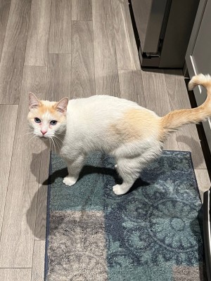 Photo of Carl