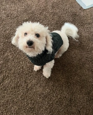 Photo of Sui