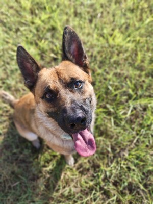 Photo of Howdy