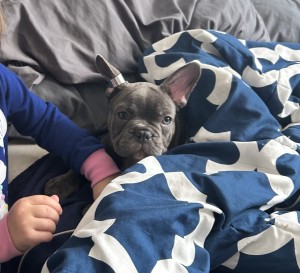 Photo of Bruno