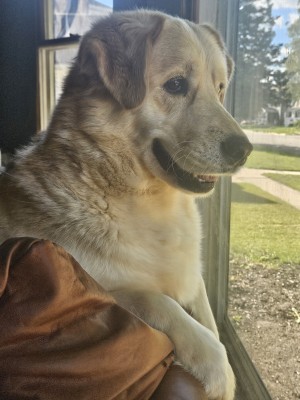 Photo of Tipper