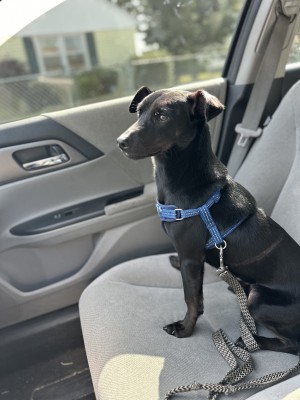 Photo of Manny