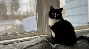 Photo of Glenn