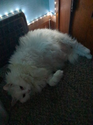 Photo of Crystal