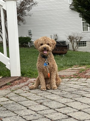 Photo of Sulley