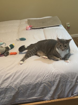 Photo of Watson