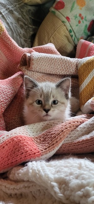 Photo of Tad