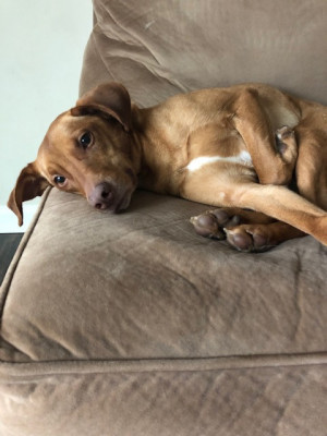 Photo of Maggie