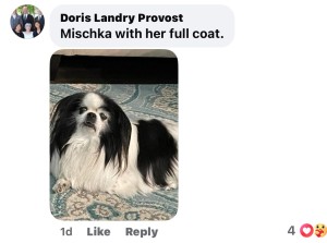 Photo of Mischka