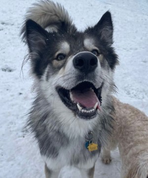 Photo of Trisha Kane