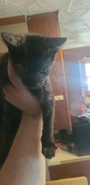 Photo of Unnamed 2