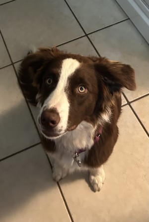Photo of Maizie