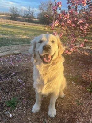 Photo of Gus
