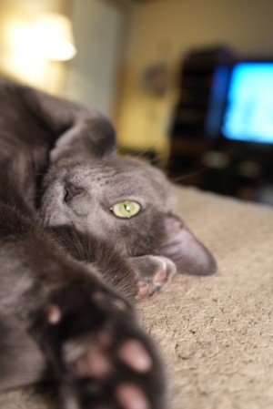 Photo of Love