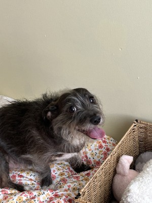 Photo of Stu