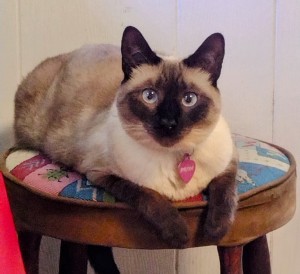 Photo of Priya