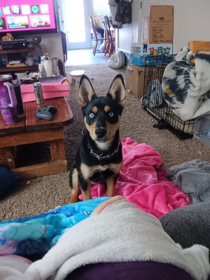 Photo of Mocha