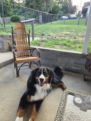 Photo of Claude