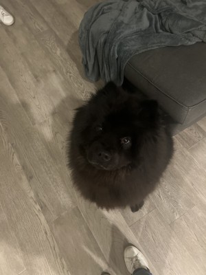 Photo of Kodak