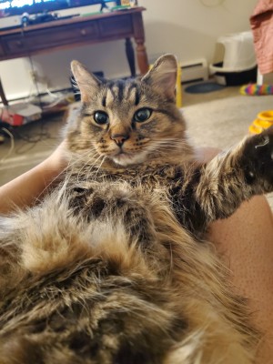 Photo of Peepo