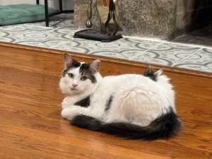 Photo of Ares