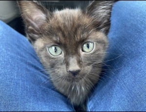 Photo of No Name