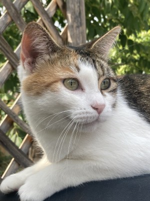 Photo of Maya
