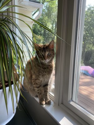 Photo of Emma