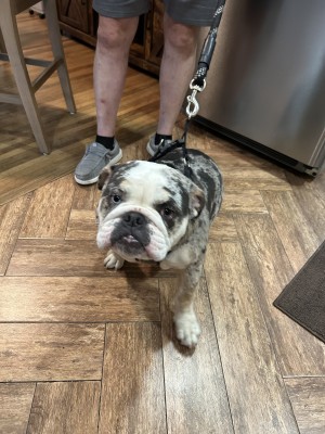 Photo of Tank