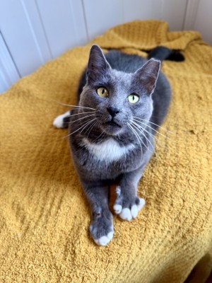 Photo of Grayson