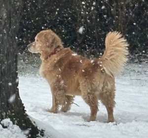 Photo of Ellie