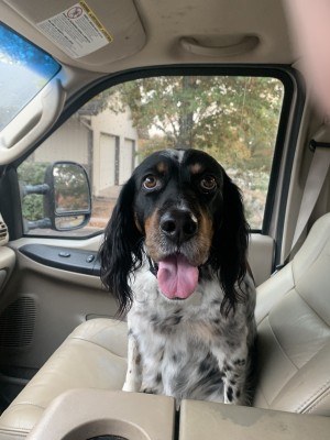 Photo of Drew Dog