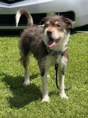 Photo of Hammy