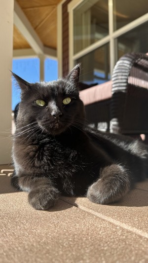 Photo of Jiji